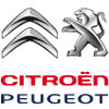 Silikonhüllen für Peugeot Citroen